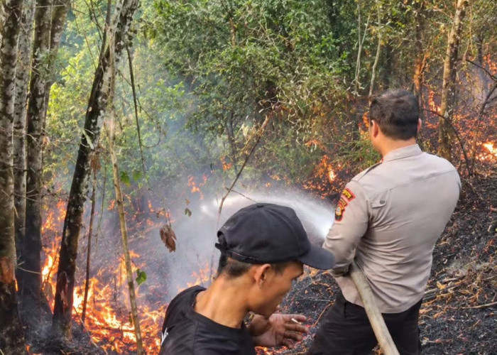 Polsek Kota Agung Bersama Personel dan Damkar Padamkan Karhutla di Desa Dingin Lama