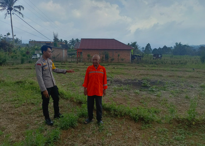 Giat Polsek Tanjung Sakti Tinjau Lokasi Lahan Ketahanan Pangan Milik Sukarjo dan Rumsina