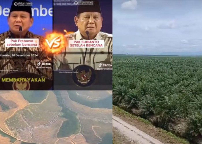 Mengejutkan! Ternyata Lahan Sawit itu Milik Prabowo, Bencana Sumatera 
