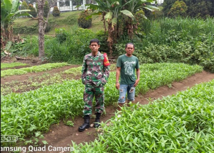 Anggota Babinsa Koramil 405-03/Kikim Sambangi Petani Desa Karang Cahaya, Rupanya Inginkan Hal Ini