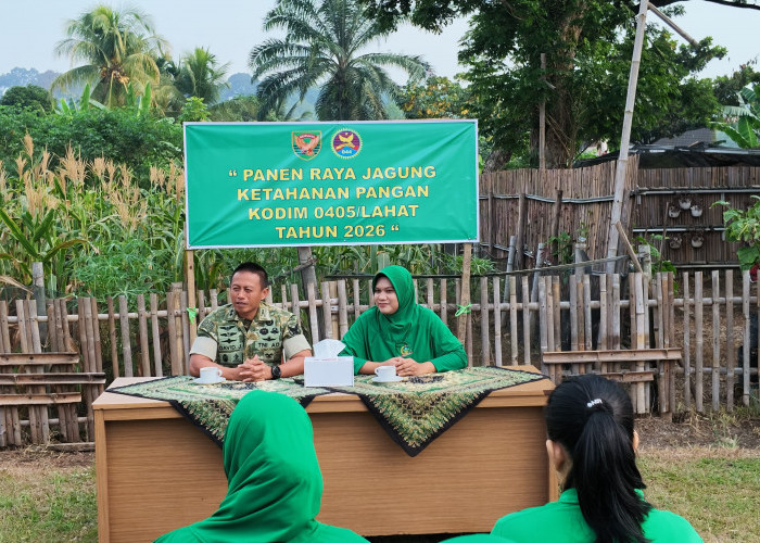 Dandim 0405/Lahat Bersama Prajurit Panen Jagung, Wujudkan Dukungan TNI AD terhadap Program Pemerintah