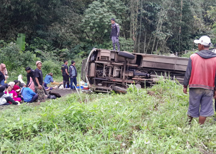 BREAKINGNEWS : Diduga Gagal Nanjak, Bus Bawa Rombongan Emak-emak Kecelakaan di Pagar Alam