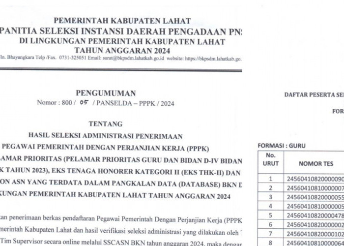 Hasil Seleksi Administrasi PPPK Lahat Tahun 2024, Peserta Pendaftar 4.016 Orang, Lulus 3.525 Orang