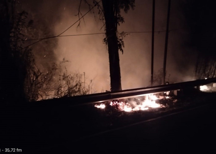 Kebakaran Semak Belukar Menutupi Jalan Lintas Lahat-Pagaralam, Pengguna Jalan Lewat Gumay Ulu