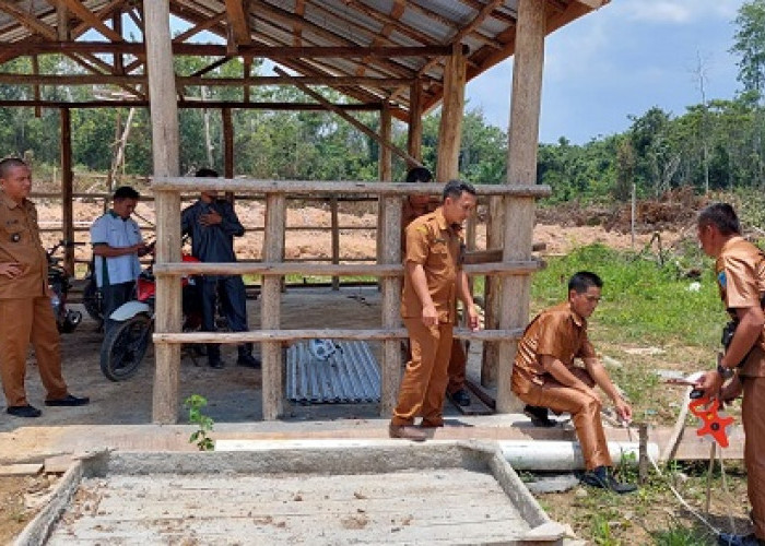 Ketahanan Pangan Desa Tanjung Lontar Perkembangbiakan Sapi