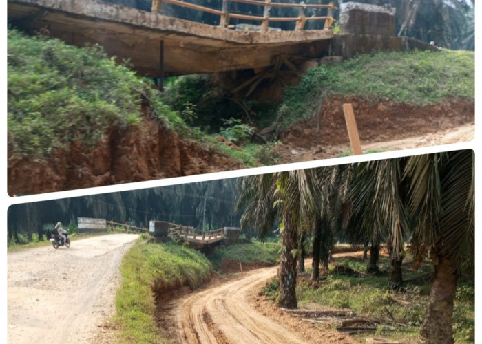 Jembatan Di Kabupaten Lahat Ini Nyaris Ambles Warga Minta Pemkab Lahat Tanggap