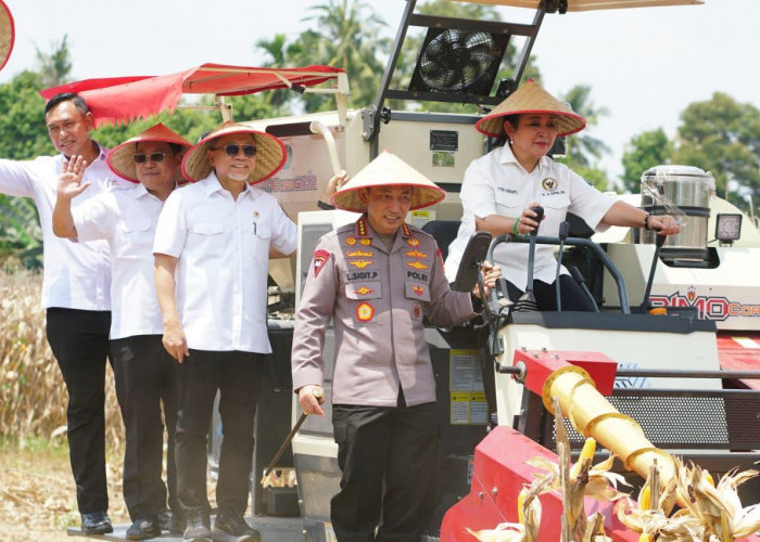 Komitmen Pemerintah Serap Hasil Panen Petani di Panen Raya Jagung Sumsel