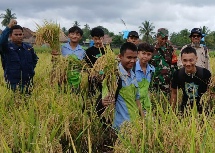 Petani Tanjung Payang Rasakan Manfaat Bantuan Pupuk Organik Cair, Produksi Beras Bertambah 30 Persen