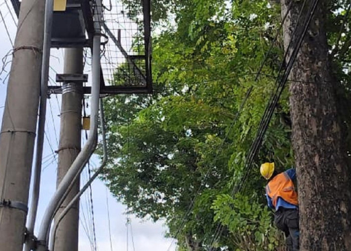 Kolaborasi Program ROW, PLN ULP Lembayung dan DLH Lahat Jaga Listrik Tetap Menyala