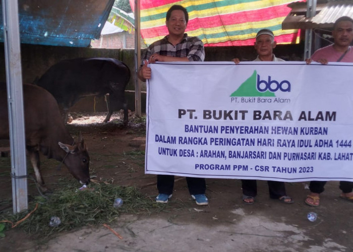 PT Bukit Bara Alam Salurkan Hewan Kurban untuk Tiga Desa, INi Buktinya