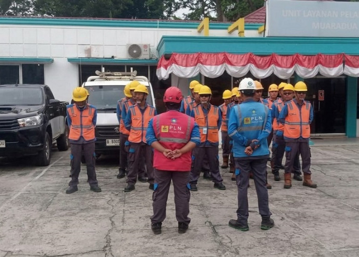 Tingkatkan Keandalan Listrik, PLN ULP Muara Dua Bergerak Cepat Tangani Gangguan Akibat Pohon Mengenai Jaringan