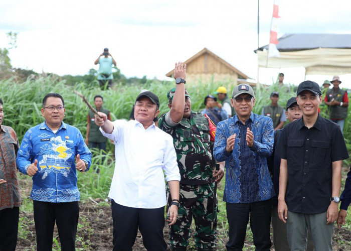 Sumsel Catat Kenaikan Produksi Beras dan Gabah Tertinggi Nasional, Bukti Keberhasilan Program Cetak Sawah