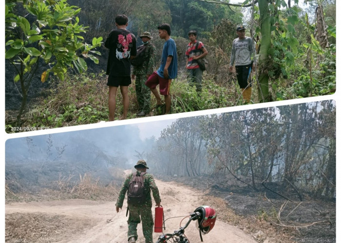 Lahan di Kabupaten Lahat Terbakar, Termasuk IUP Perusahaan Batubara 