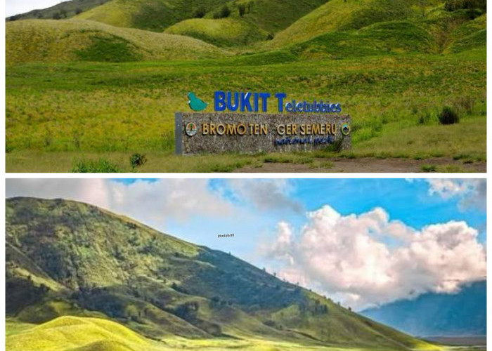 Bukit Teletubbies, Pesona Perbukitan Hijau yang Bikin Wisatawan Terpukau