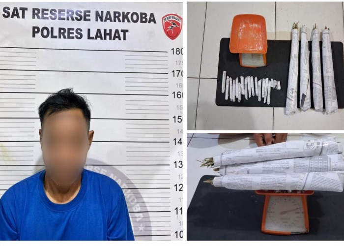 Satresnarkoba Polres Lahat Ungkap Dugaan Peredaran Ganja di Kikim Selatan, 22 Paket Diamankan