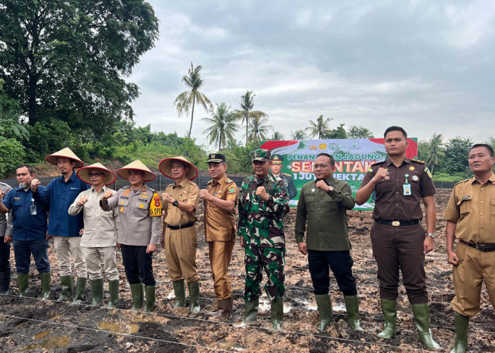 Sinergi dengan Polres Muara Enim, Bukit Asam Turut Mendukung Penanaman Jagung Serentak