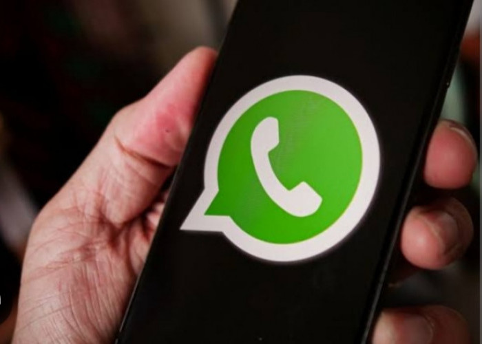 Keren Banget, Tips dan Trik Tersembunyi di Whatsapp, Wajib Kamu Coba