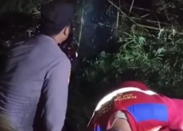 Rumpun Bambu di Desa Penantian Lahat Terbakar, Polsek Jarai Langsung Tanggap Padamkan Api