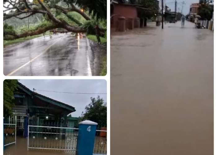 Akibat Hujan Di Lahat Dari Sore Selain Puluhan Rumah Terendam Banjir Juga Ada Pohon Tumbang