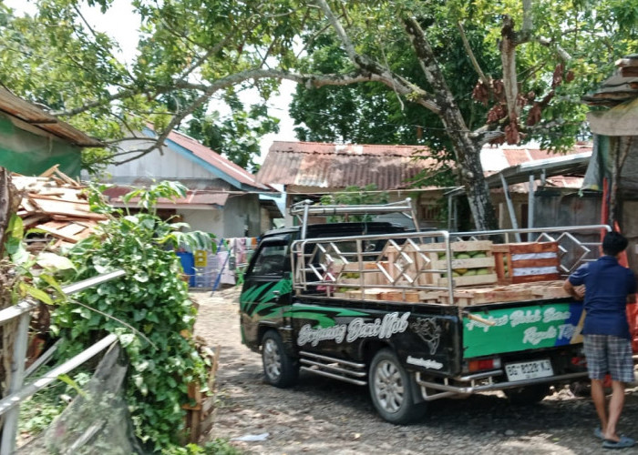 Kasihan Penghuni Asrama Koramil Lahat, Depan Rumah Penuh Tumpukkan Kayu, Sisa Penjual Buah