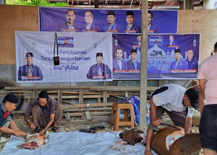 Politisi Demokrat Lahat, Ihsan Chandrawijaya Sumbang Hewan Kurban