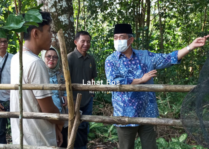 Optimalikan Potensi Lokal, Pemkab Lahat Siapkan Lahan Untuk Kebun Durian