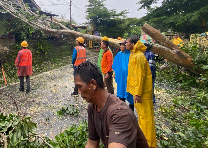 PLN Bergerak Cepat Pulihkan Jaringan Listrik Pasca Bencana Alam di Baturaja