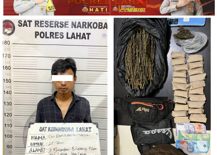 Ditelepon Istri Pulang, Sampai di Depan Rumah Kontrakan, Pria Terduga Pengedar Ganja Diringkus Polisi