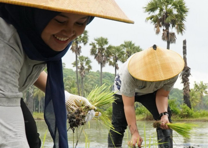 PLN Jadi Tuan Rumah Relawan Bakti BUMN di Sumba Timur, Kolaborasi Kementerian dan Lintas BUMN