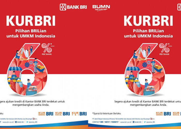 Program KUR BRI: Solusi Finansial Andalan untuk UMKM, Dorong Pertumbuhan Ekonomi Lokal