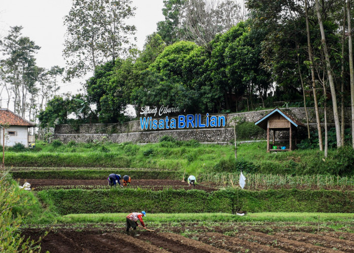 Konsisten Dorong Kemajuan Ekonomi Desa, BRI Raih Penghargaan pada Puncak Hari Desa Nasional 2026