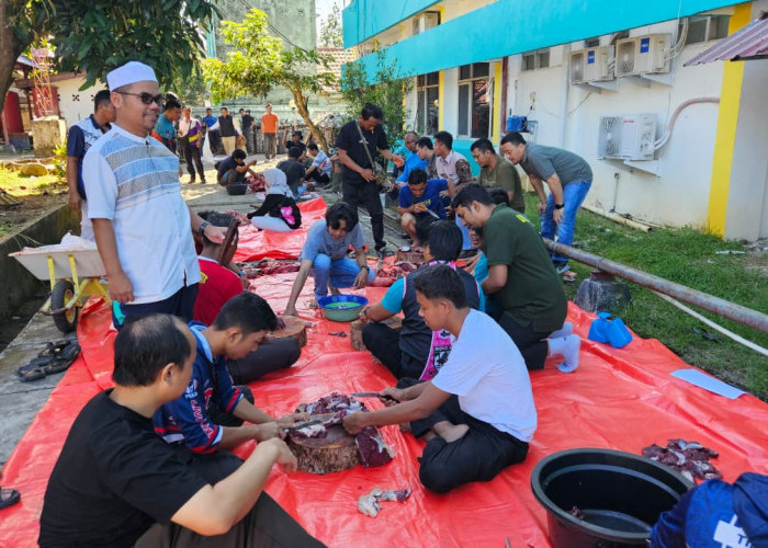 Meriahkan Idul Adha 1447 H, PLN UP3 Lahat Tebar Berkah 630 Paket Daging Kurban