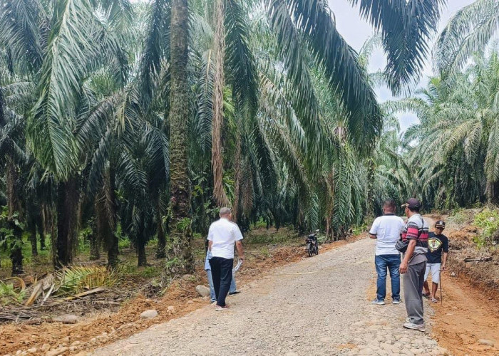 Tangan Dingin Nanda Vinola Hidupkan Kembali Jalan Desa Purnama Sari, Masyarakat Bersyukur