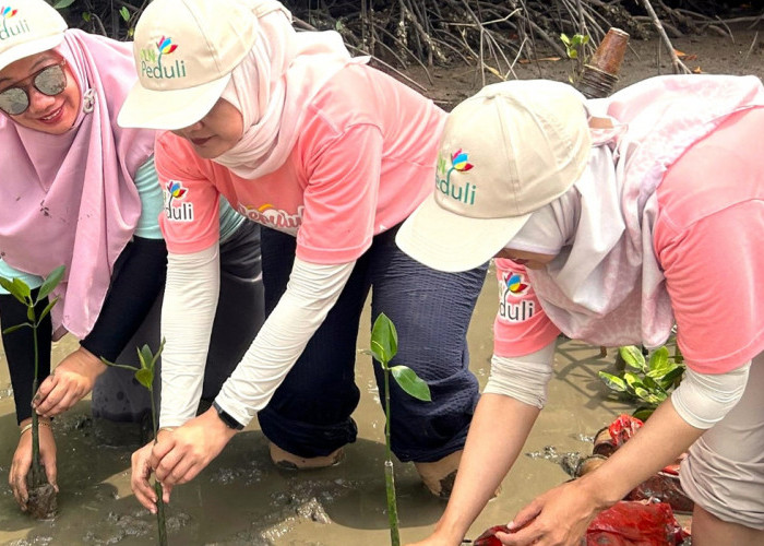 Gandeng WWF Indonesia, PLN Jadi Perusahaan Pertama di Tanah Air Adopsi Kerangka Kerja TNFD