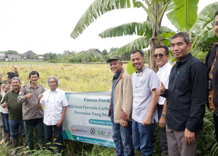 Gandeng Perguruan Tinggi hingga Petani, Bukit Asam (PTBA) Kembangkan Inovasi Pertanian Berkelanjutan