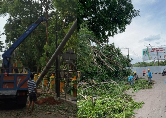 Gerak Cepat PLN, Pulihkan Listrik Pasca Angin Puting Beliung, di Muara Enim Sumatera Selatan