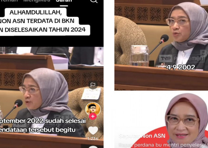 Kabar Terbaru Tenaga Honorer, Menteri PANRB Rini Widyantini SH MPM, Selesai Akhir Desember 2024