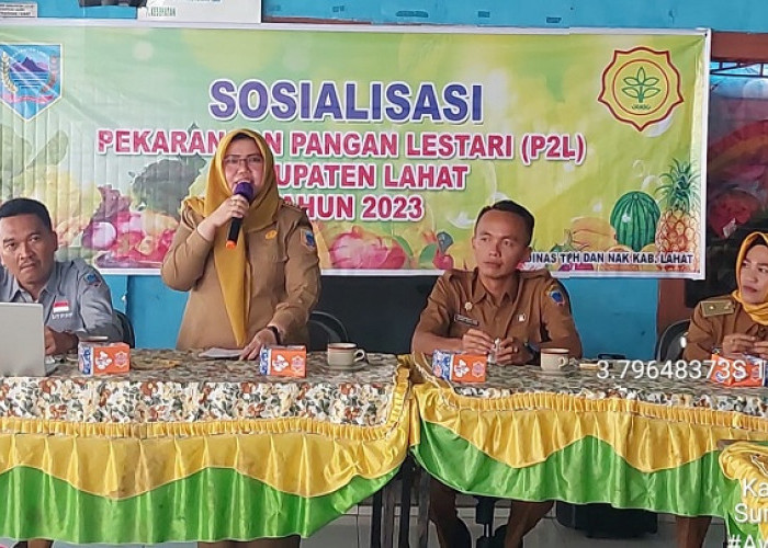 Dinas TPHP Lahat Menggelar Sosialisasi Pekarangan Pangan Lestari (P2L) di Desa Tanjung Tebat, ini Harapannya