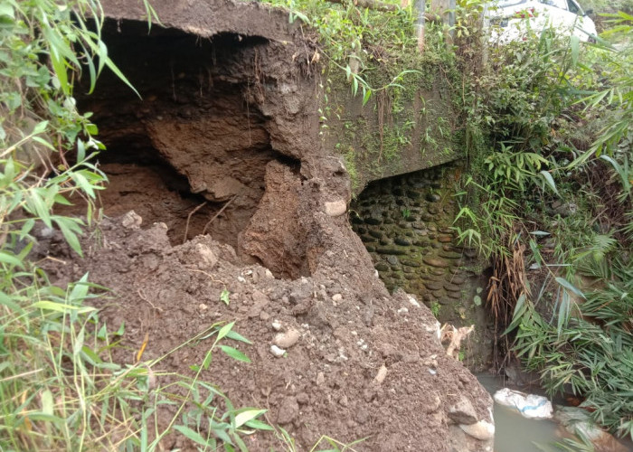 Tanah Jembatan Penghubung Dua Dusun di Desa Lubuk Selo Tergerus