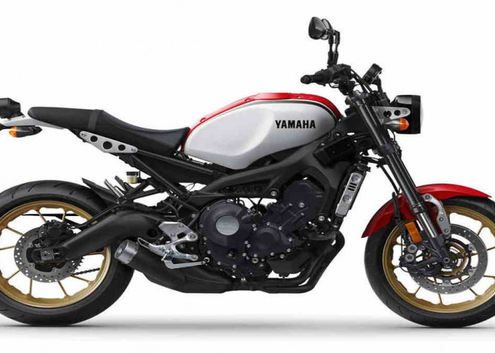 Yamaha Akan Luncurkan Motor Dual Purpose 250 Cc Baru, Berfitur Canggih Plus Y-Connect