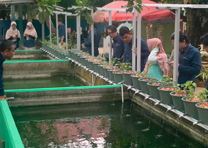 Berdayakan Masyarakat, Bukit Asam (PTBA) Sulap Lahan Tidak Produktif di Sukamoro