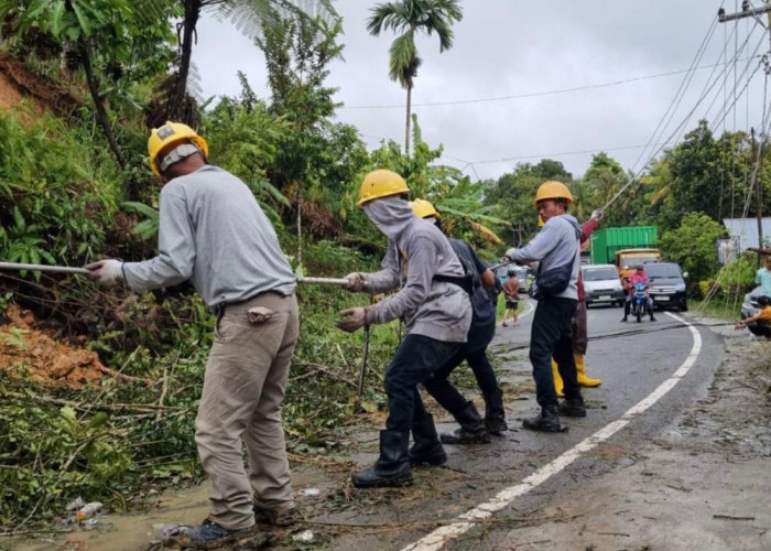 Gubernur Sumbar Apresiasi Kerja PLN Pulihkan Listrik Pascabencana