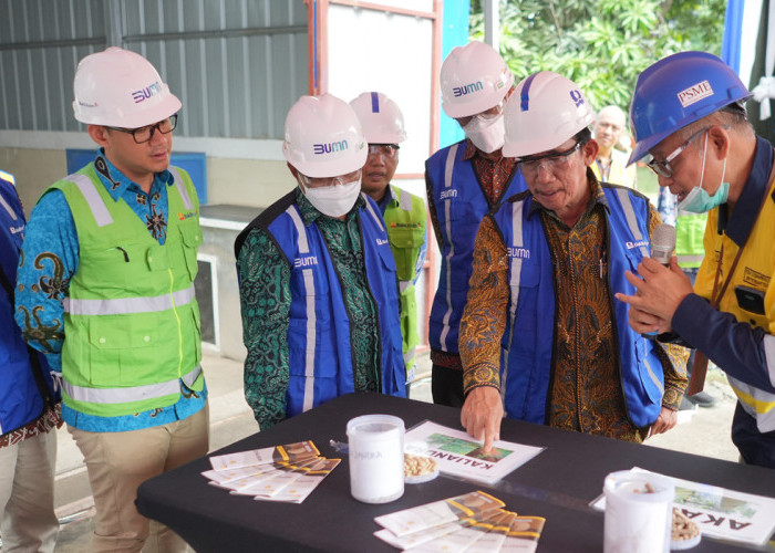 Kembangkan Biomassa dari Kaliandra Merah, Bukit Asam (PTBA) Bangun Pilot Plant Wood Pellet