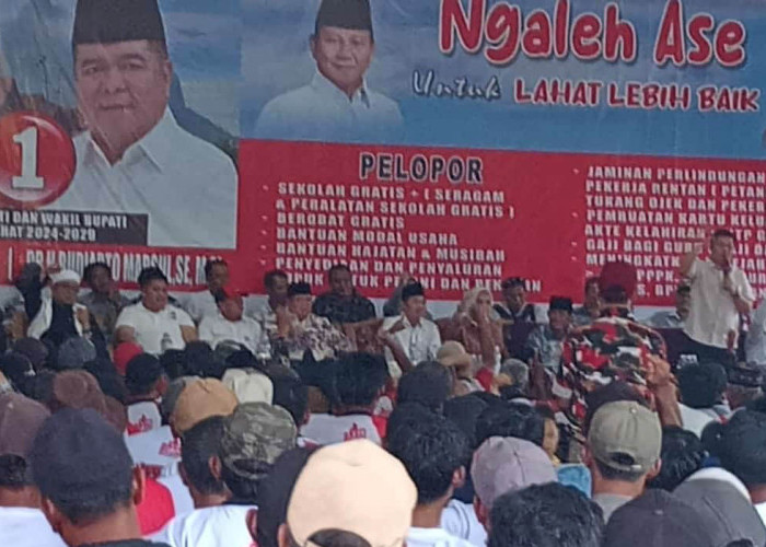 Nopan Firmansyah: Tanjung Sakti Pumi dan Pumu Lumbung Suara Paslon Yulius Maulana-Budiarto Marsul