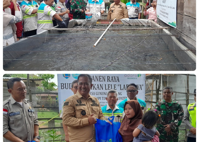 Kelompok Peternak Ikan Labi Jaya Desa Gunung Kembang Binaan PT Mustika Indah Permai Sukses Panen Raya Perdana