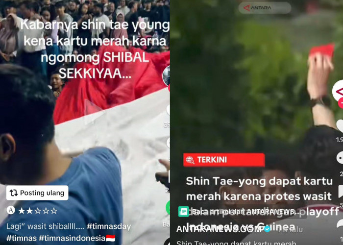 Wasit Prancis Francois Tahu Arti Shibal Saekkiya, Alasan Shin Tae Young Kena Kartu Merah Indonesia vs Guinea