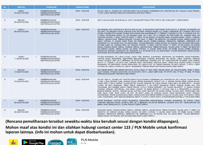 PLN ULP Lembayung UP3 Lahat Lakukan Pemeliharaaan Jaringan Listrik