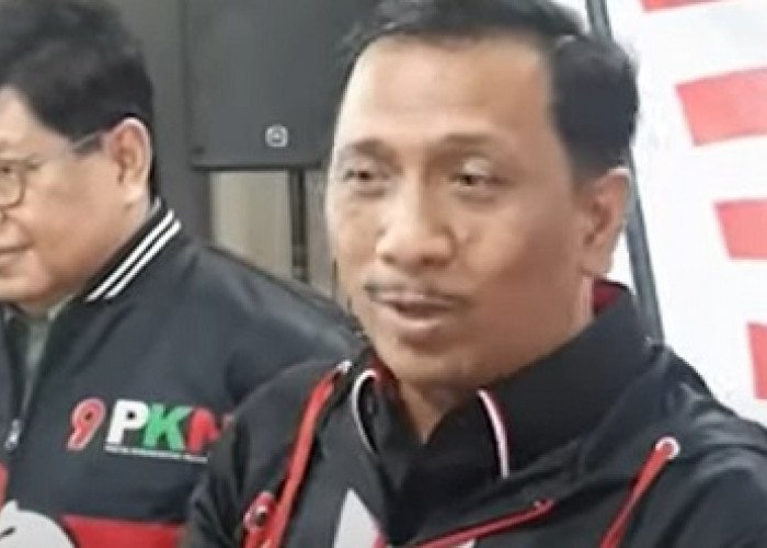 Partai Kebangkitan Nusantara Daftar Calon Sementara (DCS) DPR RI Dapil Sumsel 2  
