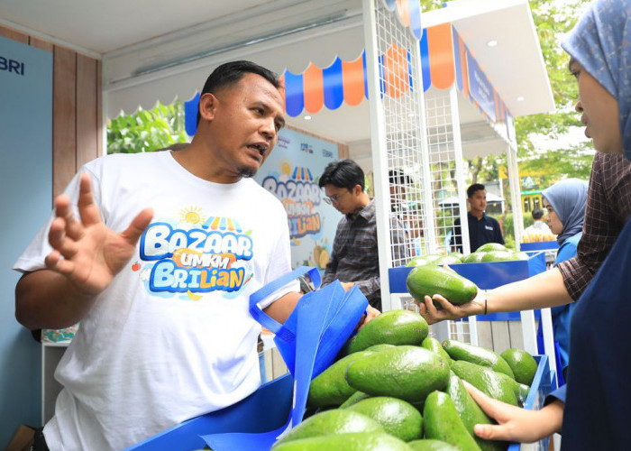 Berkat Program Pemberdayaan BRI Klasterku Hidupku, Petani Ini Berhasil Kembangkan Budidaya Alpukat