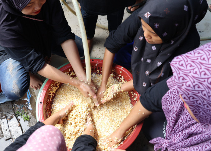 Bukit Asam (PTBA) dan IZI Berdayakan Masyarakat Desa Prabu Menang Lewat Usaha Tempe